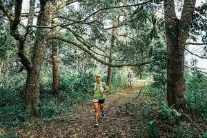 BIB: 
                            <button type="button" onclick="openModal(25665243)" class="btn btn-primary btn-sm float-right btn-popup" data-toggle="modal" data-target=".modal-high-quality">
                        <i class="fas fa-shopping-cart"></i> Add to Cart
                    </button>
                                            <button type="button" onclick="isThisMe(25665243, true)" class="btn btn-success btn-sm float-right btn-popup btn-isme hidden" data-toggle="tooltip" data-placement="bottom" title="นี่คือรูปของคุณใช่ไหม คลิกที่นี่เพื่อเอาเข้าอัลบั้ม">
                        <i class="fas fa-plus"></i> Add to album
                    </button>
                    <button type="button" onclick="isThisMe(25665243, false)" class="btn btn-warning btn-sm float-right btn-popup btn-isnotme hidden">
                        <i class="fas fa-ban"></i> Remove from album
                    </button>